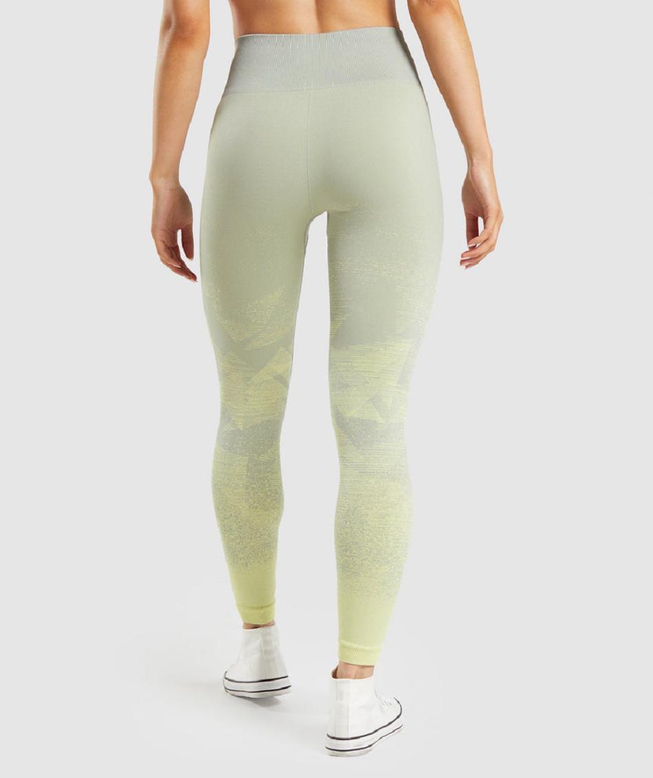 Leggins Gymshark Adapt Ombre Seamless Mujer Gris Marrones Gris | CO 2937VRW